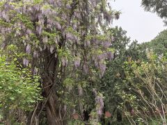 -北京市劳动人民文化宫(太庙)