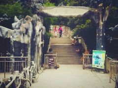 -王顺山国家森林公园