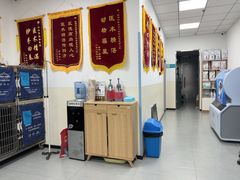 -小伙伴宠物医院•急重症转诊中心·老年专科·犬猫全科(北大街总院)