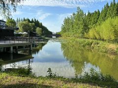 -黄海国家森林公园