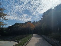 -牛岗山公园
