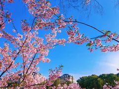 -新江湾城公园
