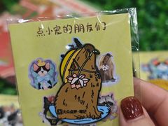 -瑞虹新天地月亮湾