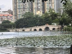 -荔湾湖公园