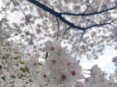 -杭州少年儿童公园