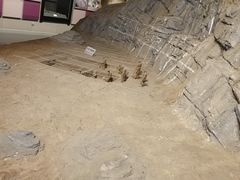 -北京周口店北京人遗址博物馆