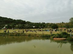 -牛岗山公园