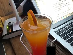 龙舌兰-海梦1924 coffee