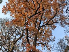 -宁波市保国寺古建筑博物馆