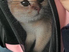-中农大我爱我爱动物医院·核磁CT·猫病·24小时夜诊中心(石佛营店)