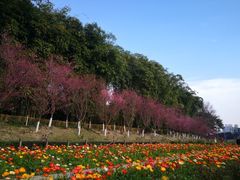 -望江楼公园