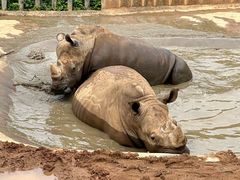 -泉州海丝野生动物世界