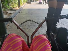 -圣淘沙天际线斜坡滑车