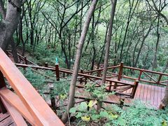 -大岭沟猕猴桃谷风景区