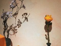 -蜀九香火锅(江油店)