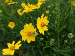 -湖南工业大学(主校区（河西校区）)