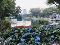 -荔湾湖公园