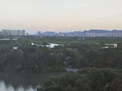 -三垟湿地