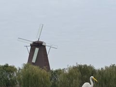 -漩门湾国家湿地公园