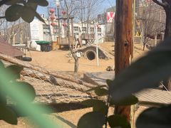 -金宝幼儿园(通州校区)