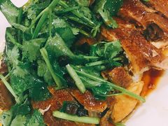-肥信潮菜(科新路店)