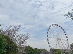 -顾村公园