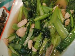 -向外鱼乐·土菜·虹鳟鱼
