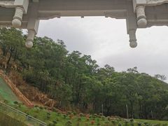 -梧桐山风景名胜区