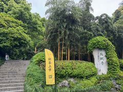 -十八棵（老龙井）御茶园(老龙井店)