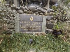 -张家港金凤凰度假村温泉