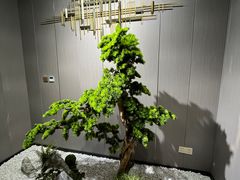 -沐森澜·轻奢足道·养生·SPA