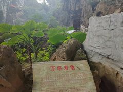 -英西峰林·洞天仙境