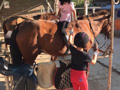 打理马匹-月河湾马术俱乐部(朝阳店)