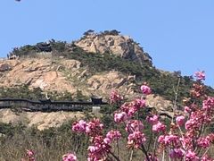 -石老人观光园
