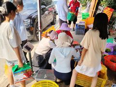 -从化深英荔枝黄皮龙眼采摘园