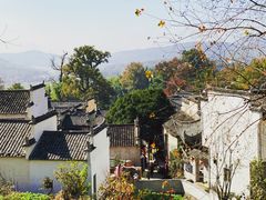 -塔川景区