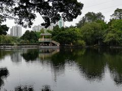 -晓港公园