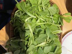 -老凯俚酸汤鱼(多彩城店)
