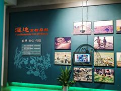 -中国湿地博物馆