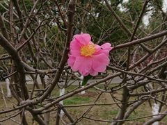 -范蠡湖公园