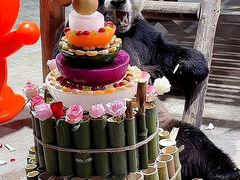 -栾川竹海野生动物园