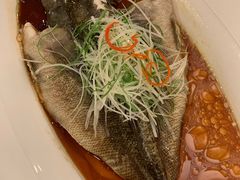 古法清蒸石斑鱼-御花园·粤菜·海鲜火锅(中山公园店)