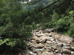 -青峰峡国家森林公园