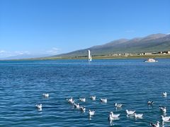 -青海湖国家重点风景名胜区