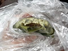 -朝阳东莞大包第一家