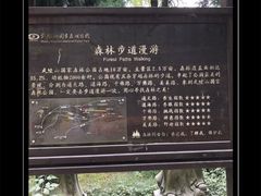 -武陵山森林公园