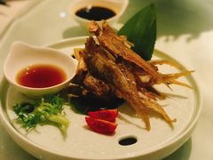 -宝燕壹号(徐汇店)