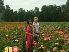 android_upload_pic-百里山水画廊乌龙峡谷