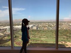 -拉斯维加斯永利酒店