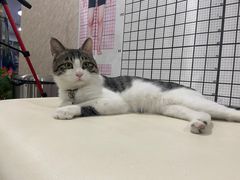 -迈劲健身专业私教(朝青汇店)